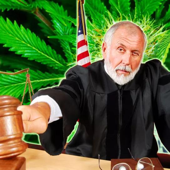 Imagen sin descripción