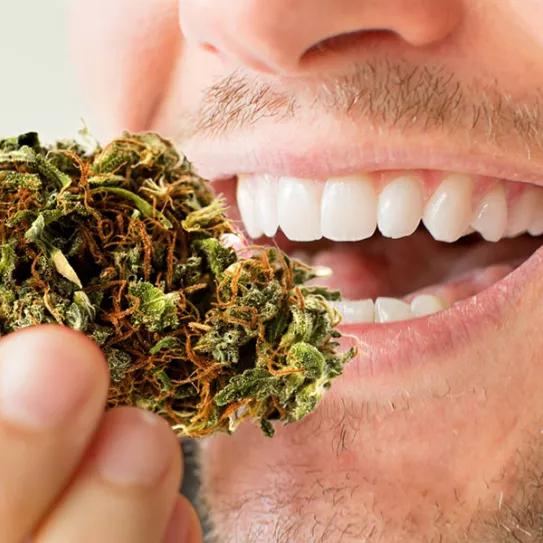 Imagen sin descripción