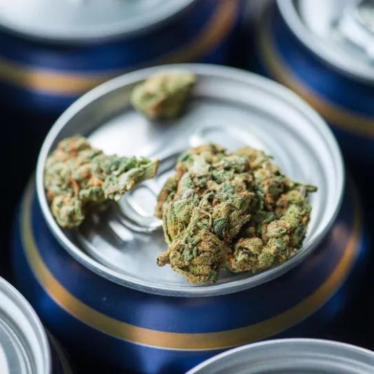 Imagen sin descripción