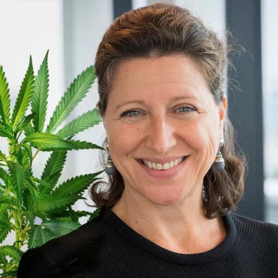 Imagen sin descripción