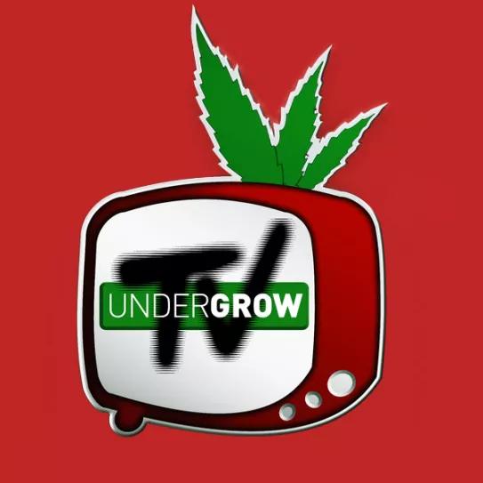 Imagen sin descripción