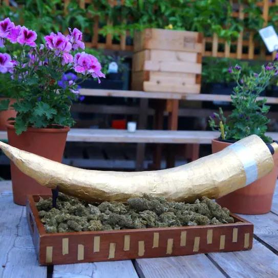 Imagen sin descripción