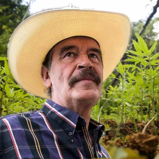 Imagen sin descripción