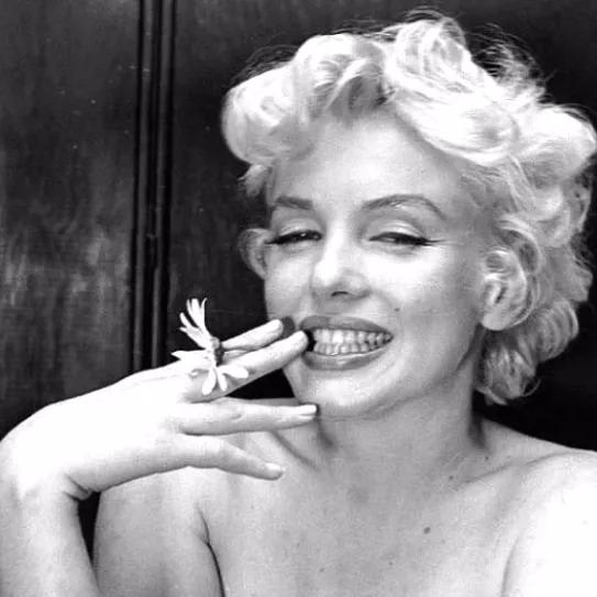 Imagen sin descripción