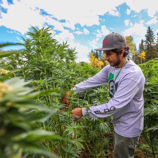 Imagen sin descripción