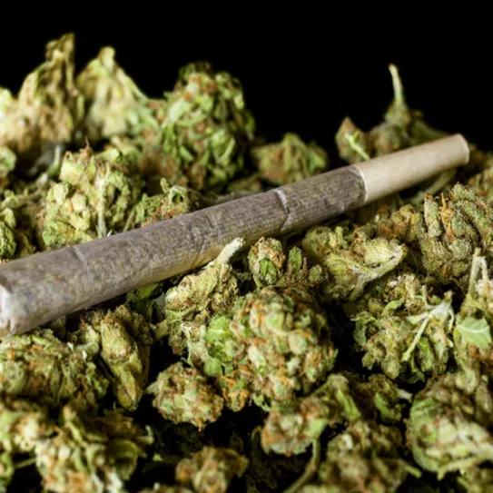 Imagen sin descripción