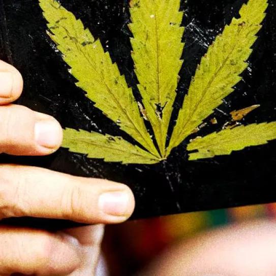 Imagen sin descripción