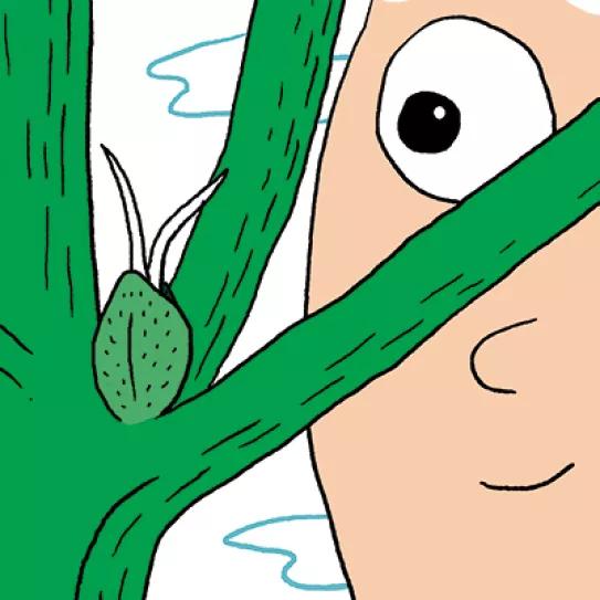 Imagen sin descripción