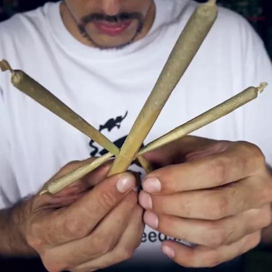 Imagen sin descripción