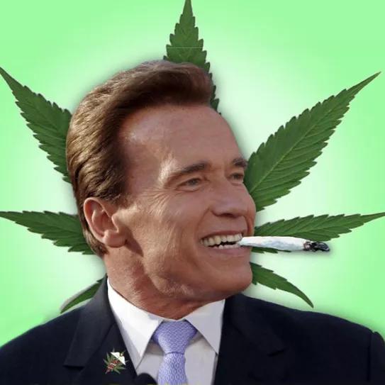 Imagen sin descripción