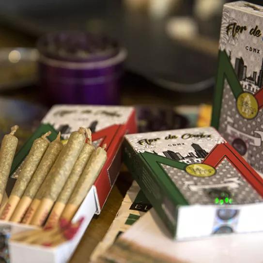 Imagen sin descripción