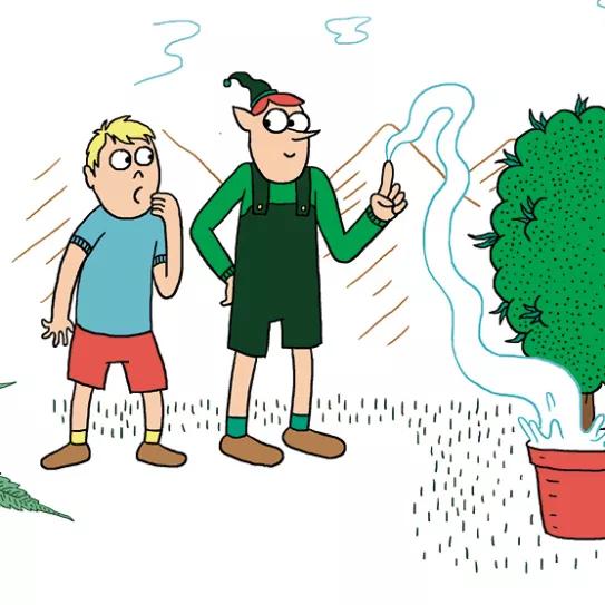 Imagen sin descripción