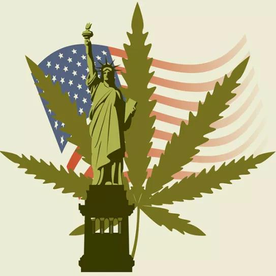 Imagen sin descripción