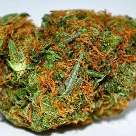 Imagen sin descripción