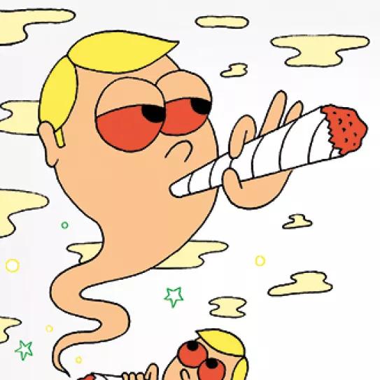 Imagen sin descripción