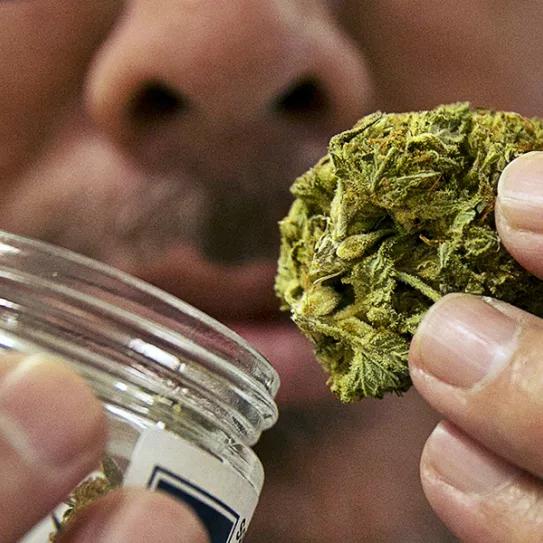 Imagen sin descripción