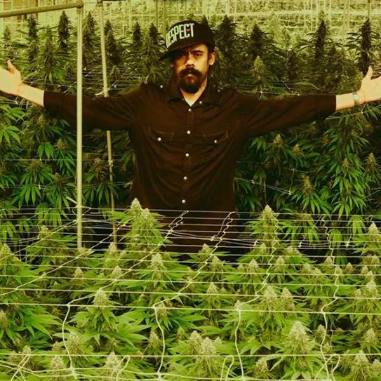 Imagen sin descripción