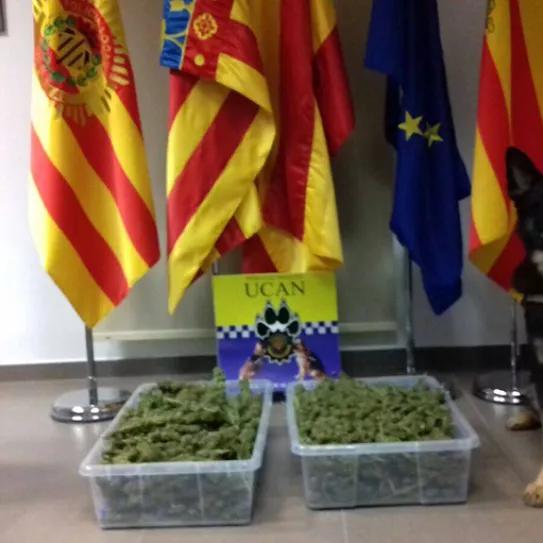 Imagen sin descripción