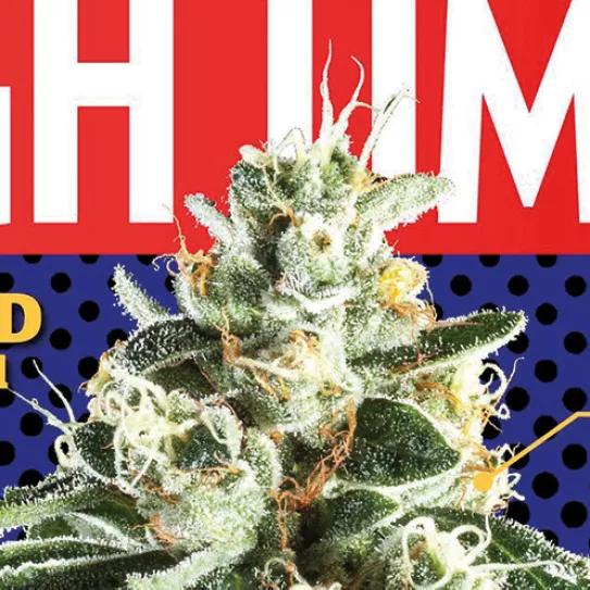 Imagen sin descripción