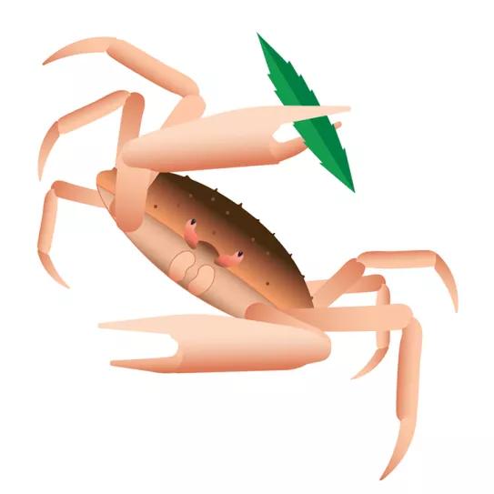 Imagen sin descripción