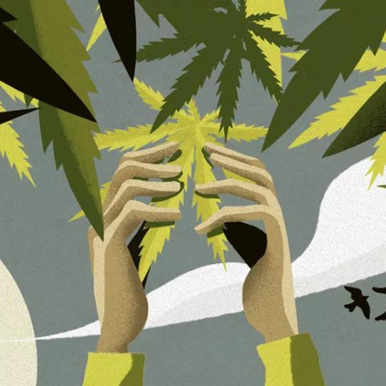 Imagen sin descripción