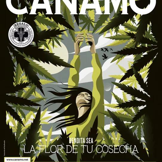 Imagen sin descripción