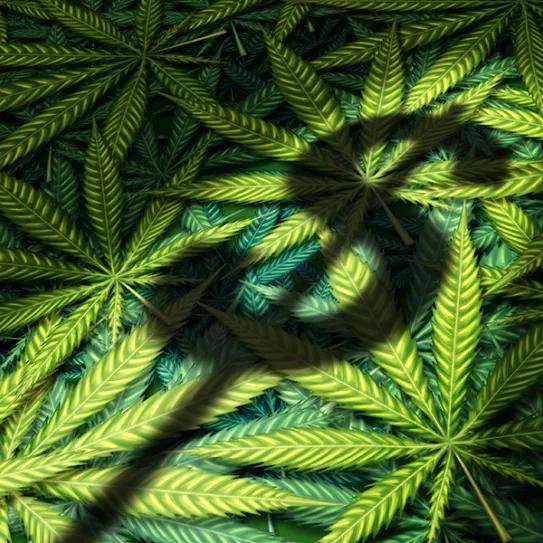 Imagen sin descripción