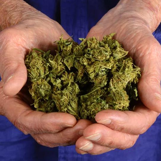 Imagen sin descripción