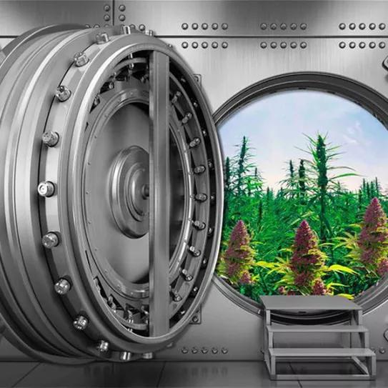 Imagen sin descripción