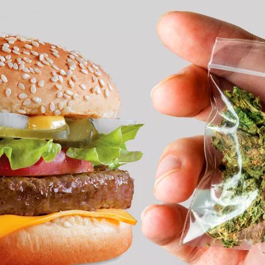 Imagen sin descripción