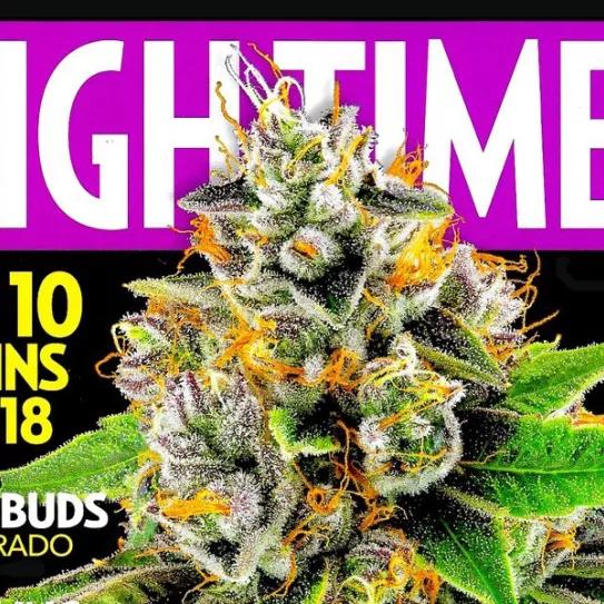 Imagen sin descripción