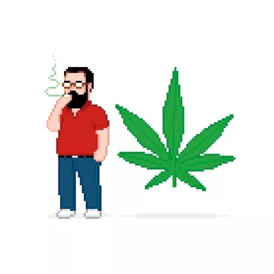 Imagen sin descripción