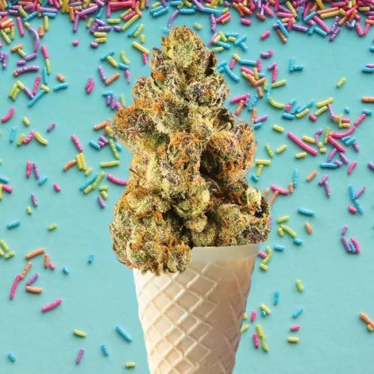 Imagen sin descripción