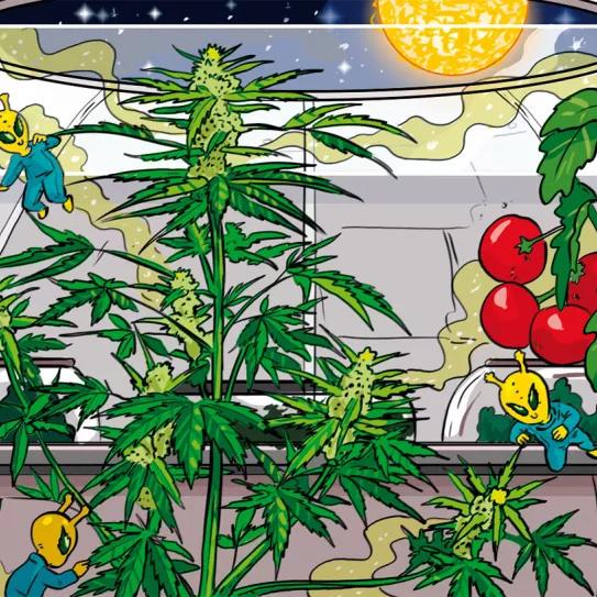 Imagen sin descripción