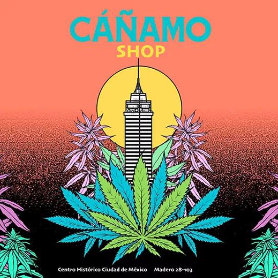 Imagen sin descripción