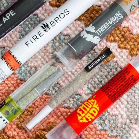 Imagen sin descripción