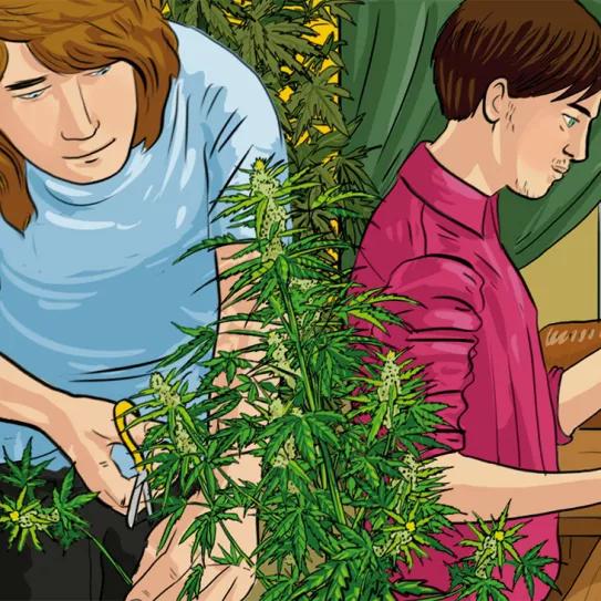 Imagen sin descripción