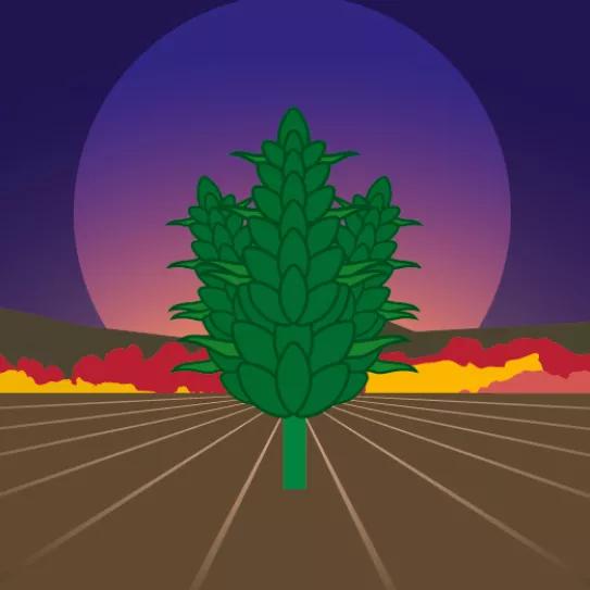 Imagen sin descripción