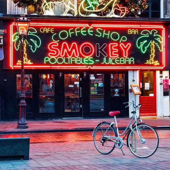 Imagen sin descripción