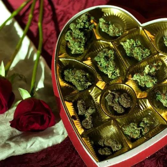 Imagen sin descripción