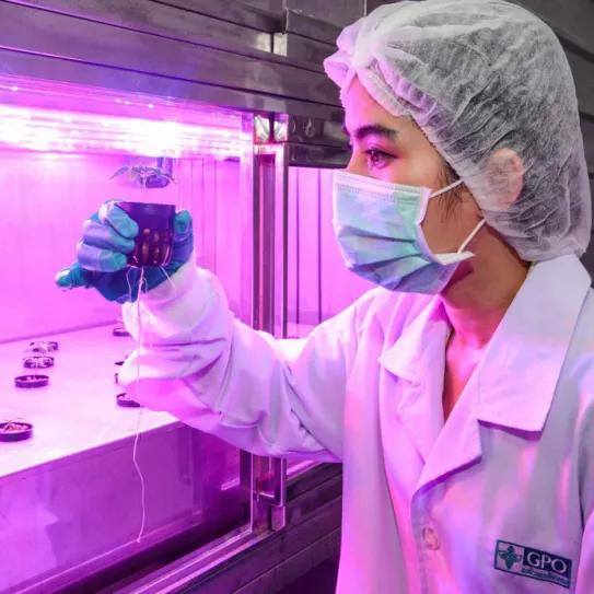 Imagen sin descripción