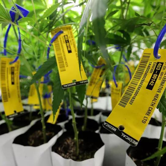 Imagen sin descripción