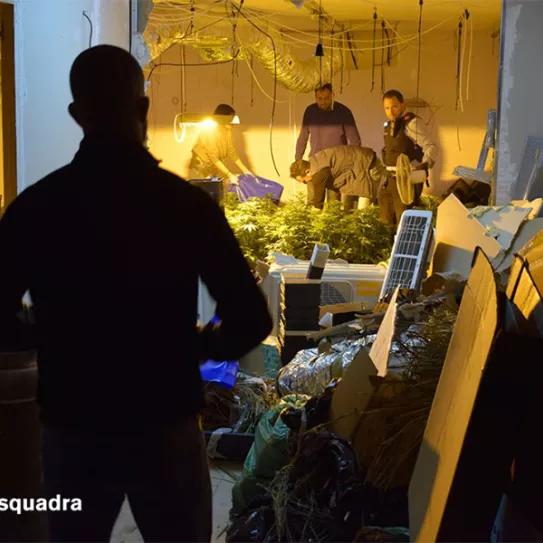 Imagen sin descripción