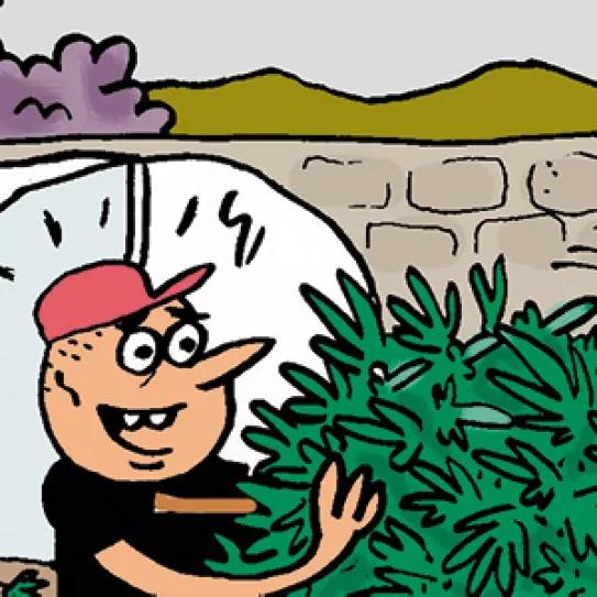 Imagen sin descripción