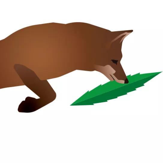 Imagen sin descripción