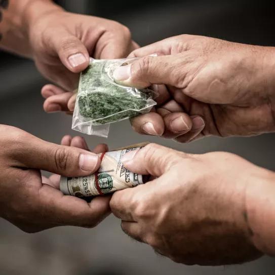 Imagen sin descripción