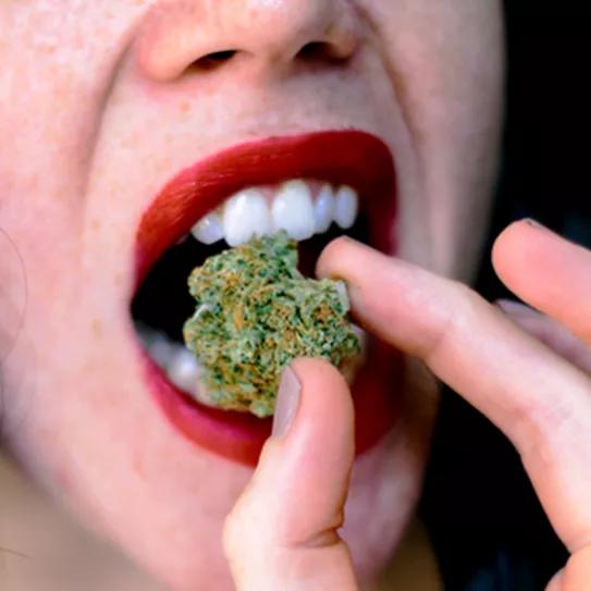 Imagen sin descripción