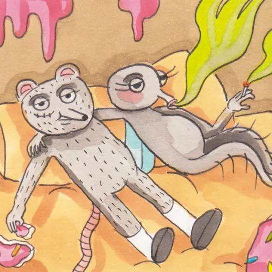 Imagen sin descripción