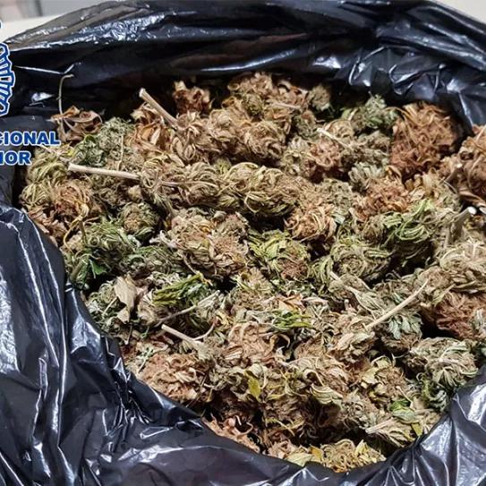 Imagen sin descripción