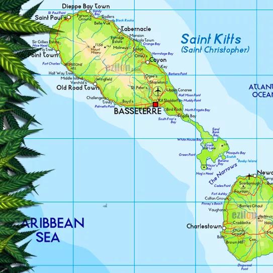 Imagen sin descripción